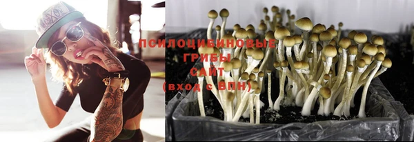 PSILOCYBIN Абаза