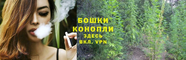 PSILOCYBIN Абаза