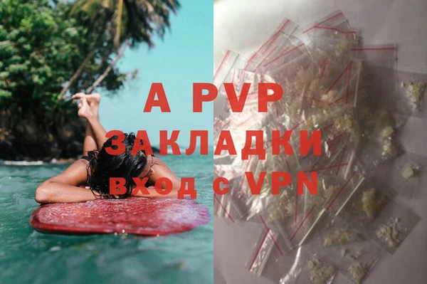 PSILOCYBIN Абаза