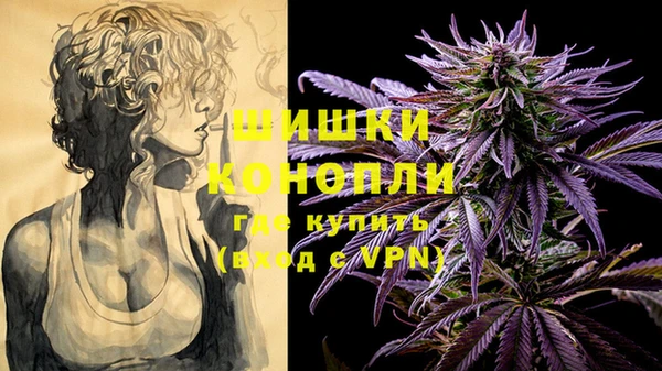 PSILOCYBIN Абаза