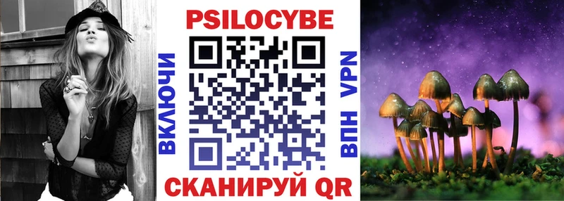 где продают   Черногорск  Псилоцибиновые грибы Psilocybe 