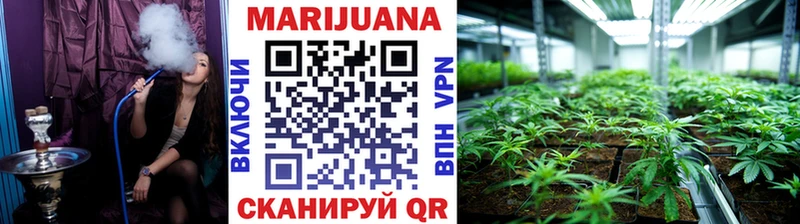 Конопля сатива Черногорск